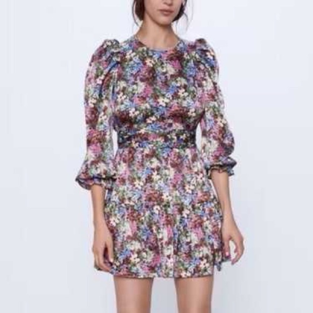 Zara Floral Multicolor Ruched Waist Dress Sz S